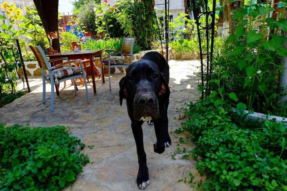 Erendiz Garden Hotel Kemer Eksteriør bilde